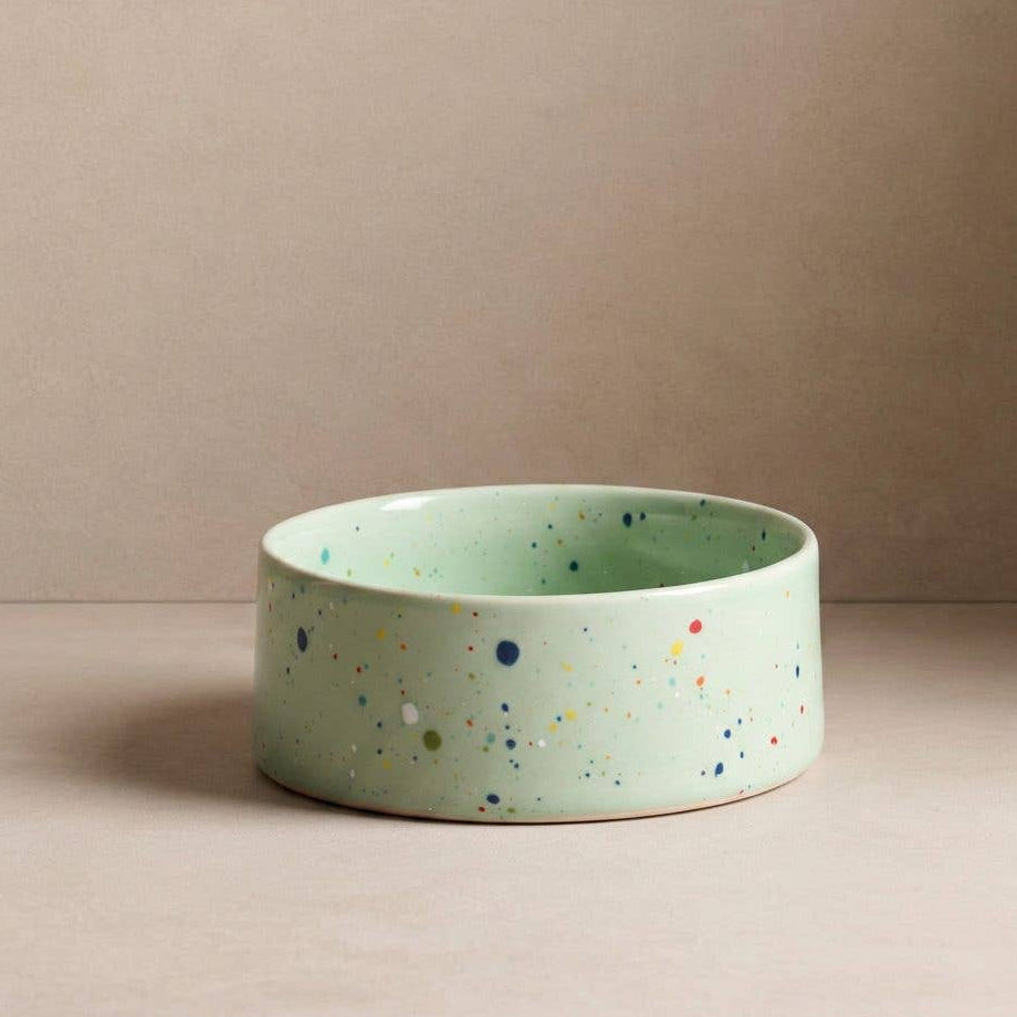 Dog Bowl Set New Party green