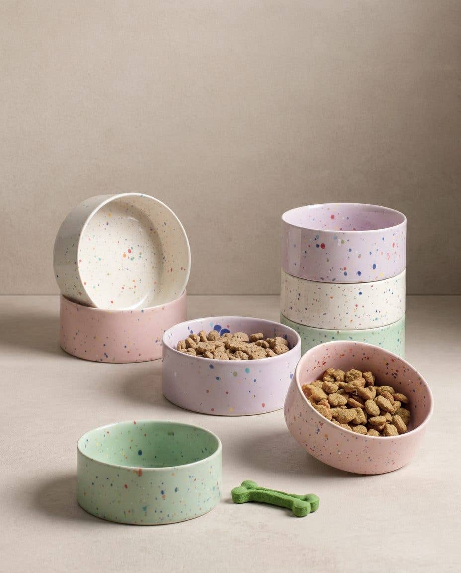 Dog Bowl Set New Party green