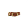 BioThane Halsband kastanie