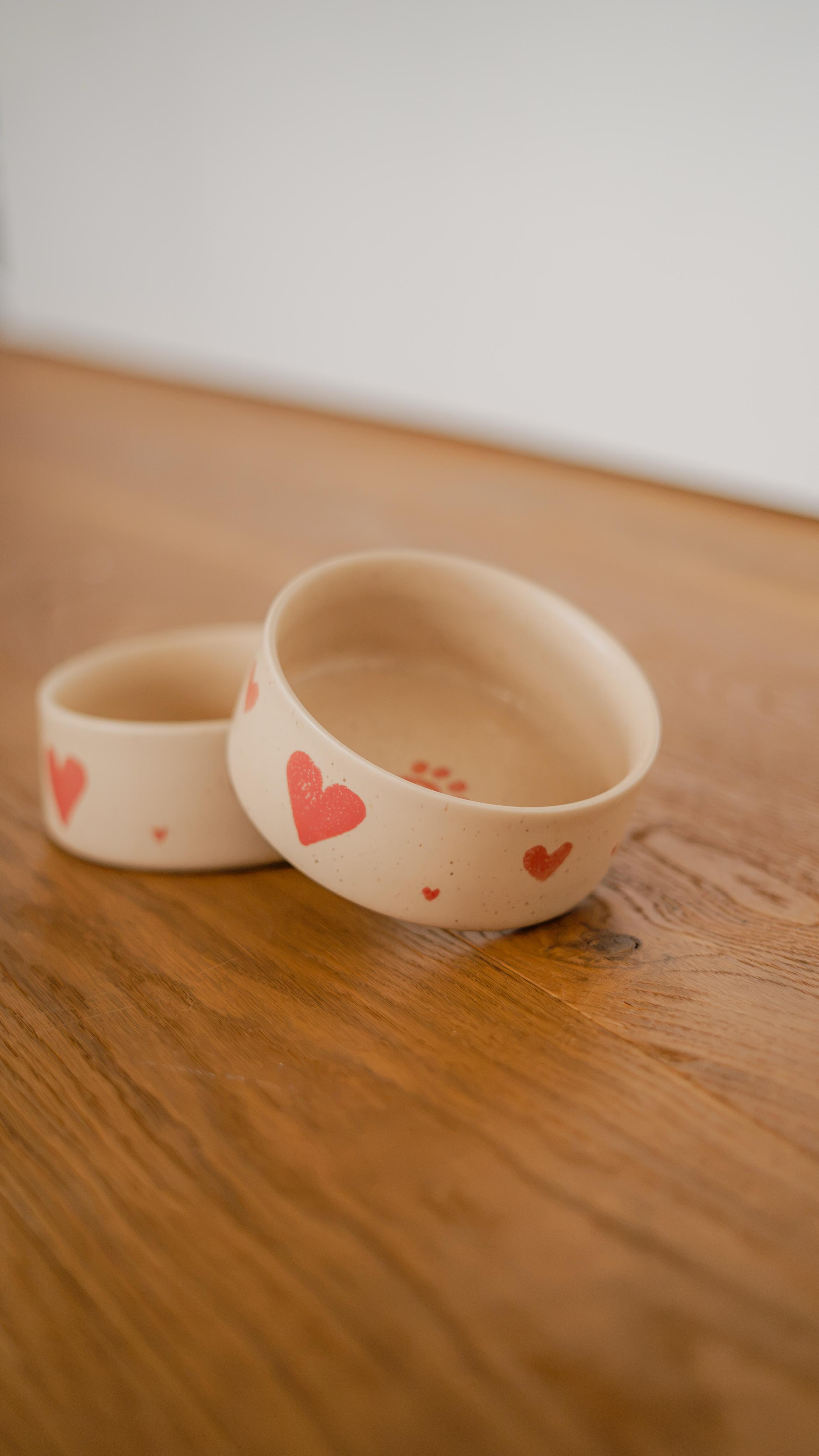 Dog Bowl Set Cozy Hearts
